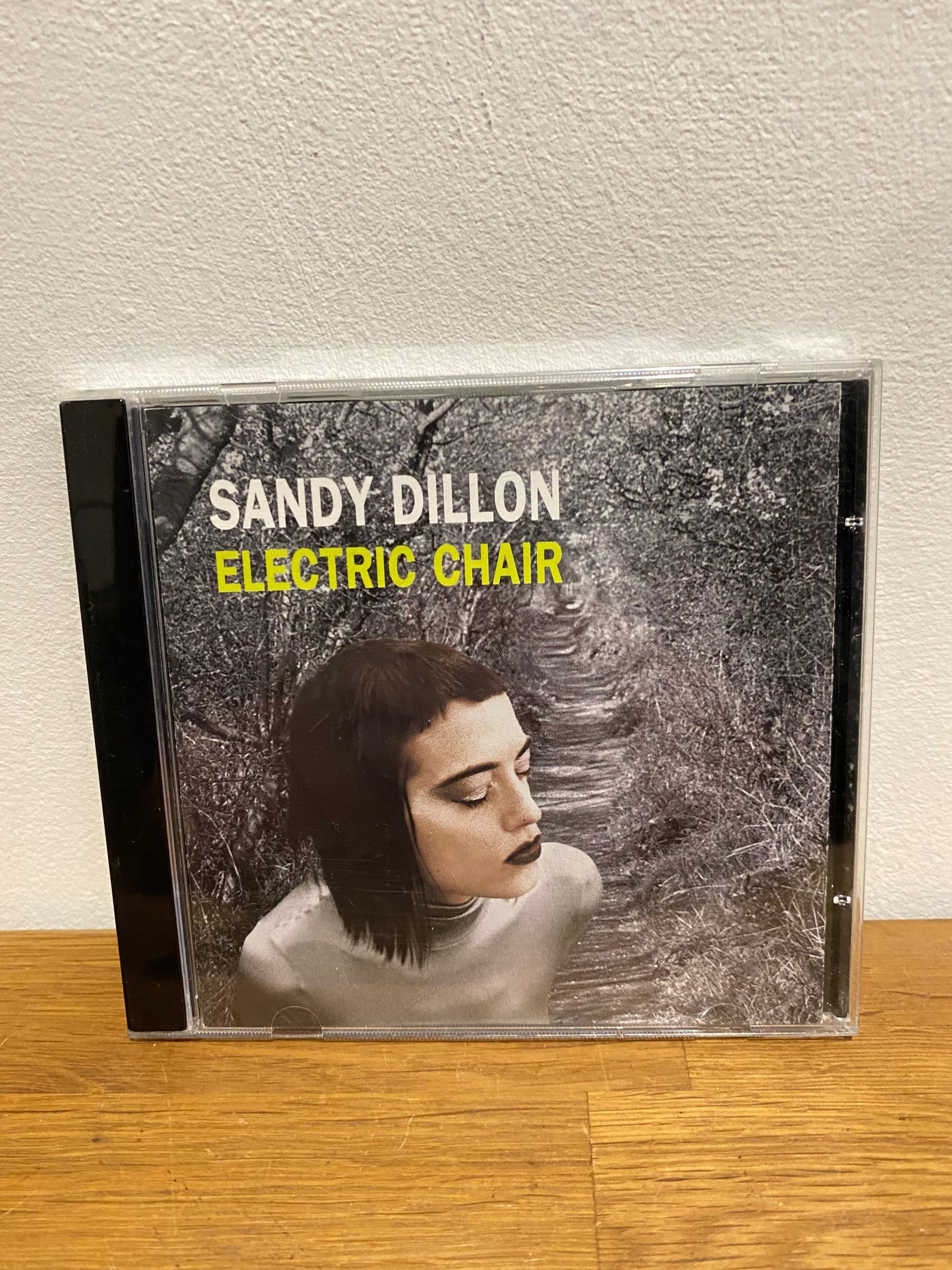 Sandy Dillon - Electric Chair