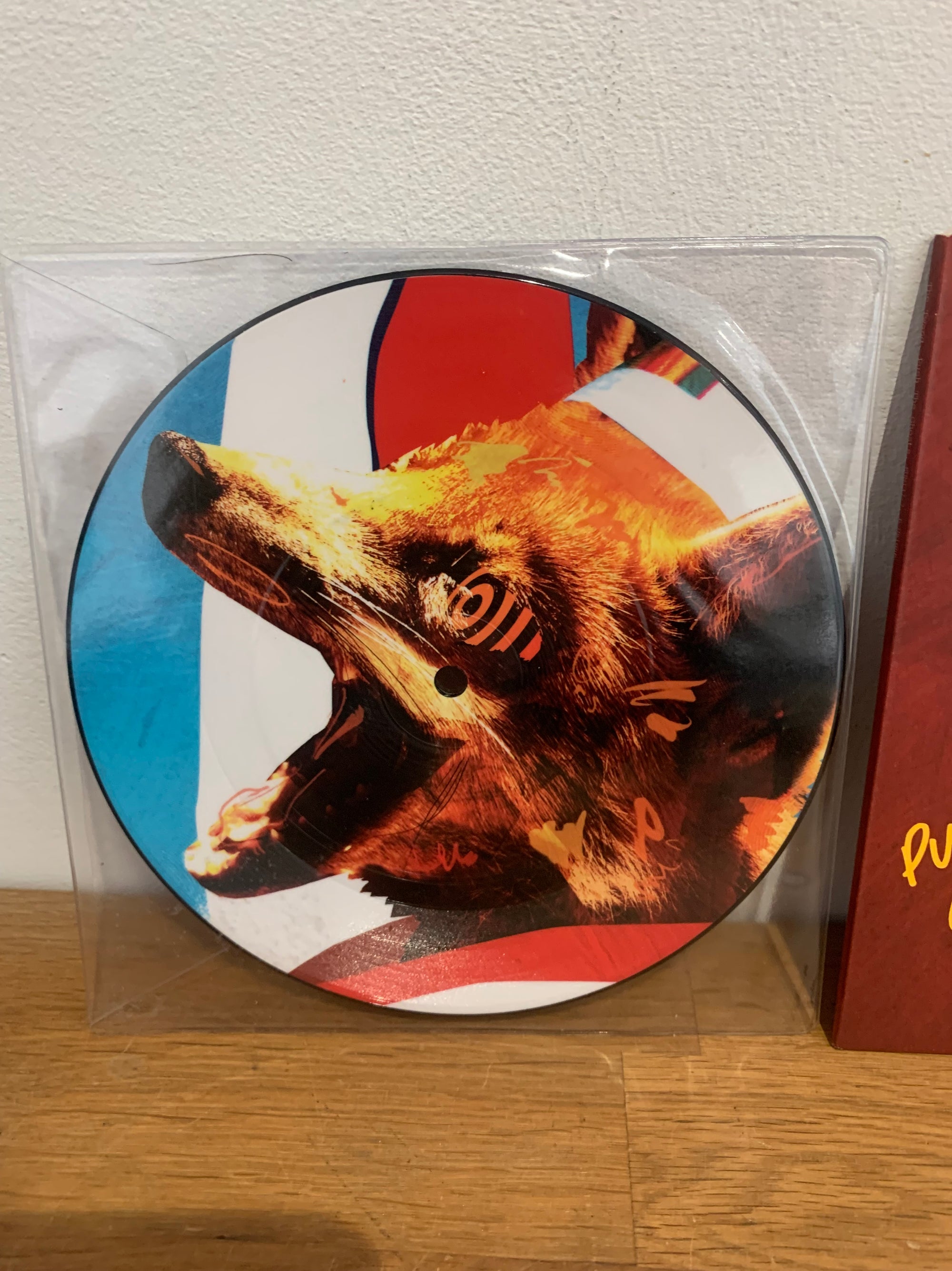 The Twang – Push the Ghosts 7" Single + Picture Disc (1997) picture disc 7 inch vinyl single cover
