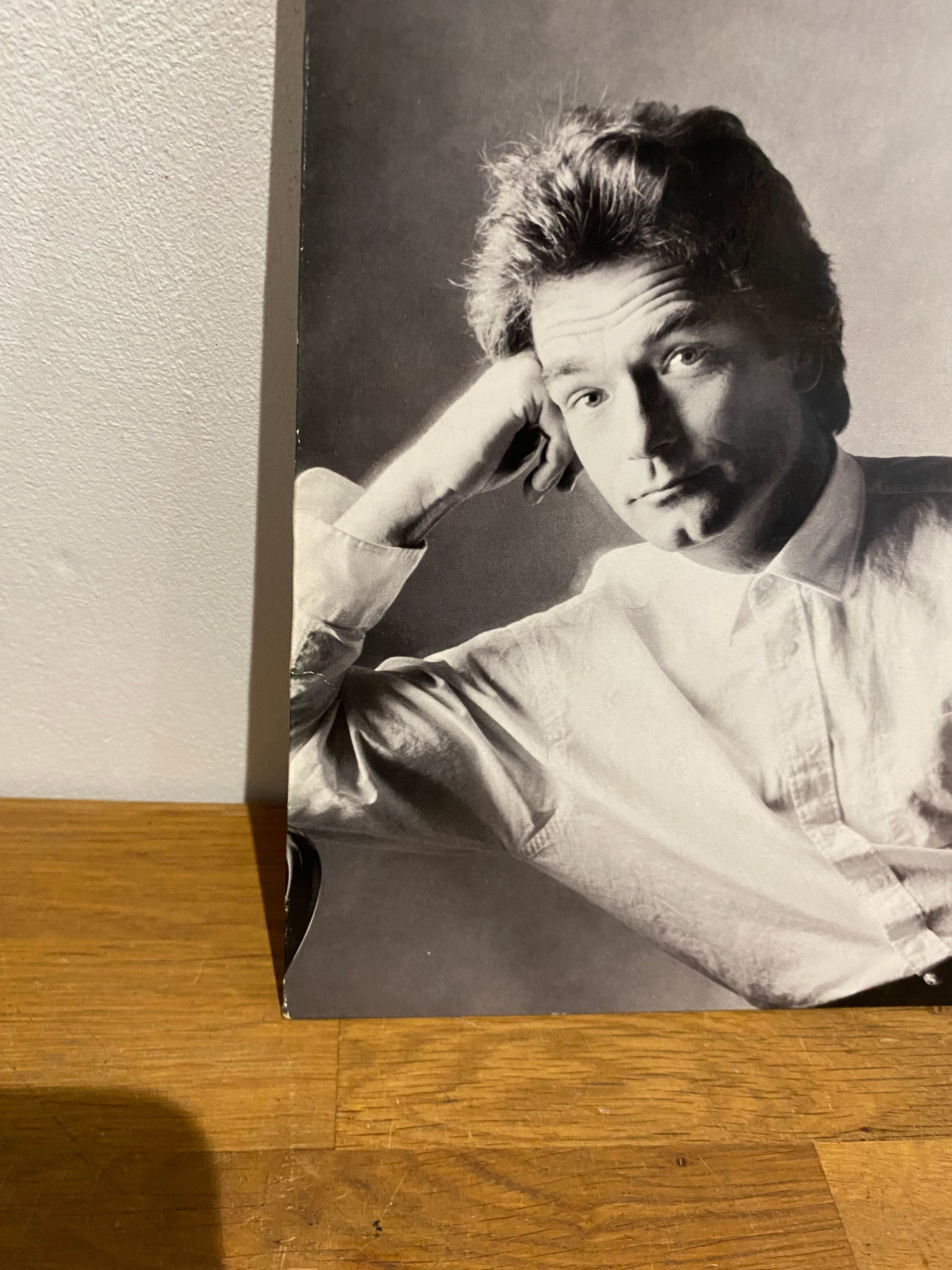 Huey Lewis & The News - Small World , vinyl album, 1988 Chrysalis
