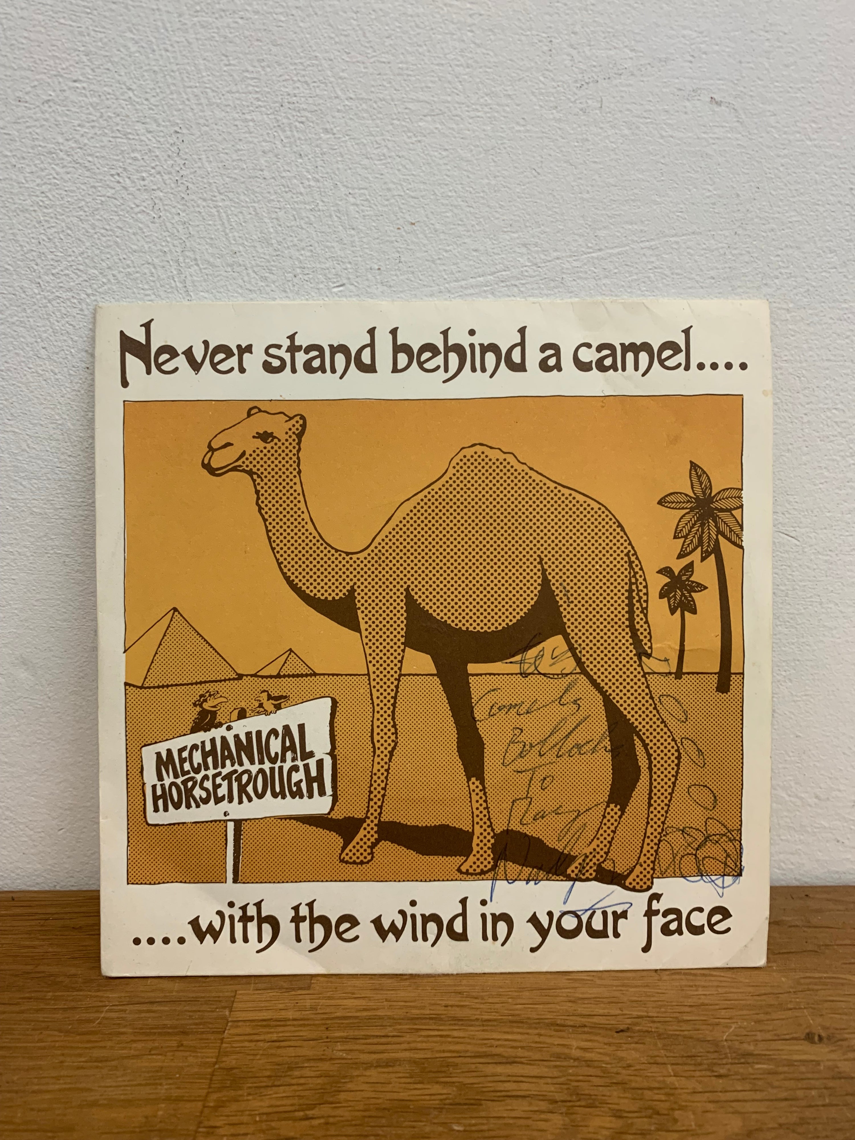 Mechanical Horsetrough - Never stand behind a camel , 7 inch single, KAT records 1982