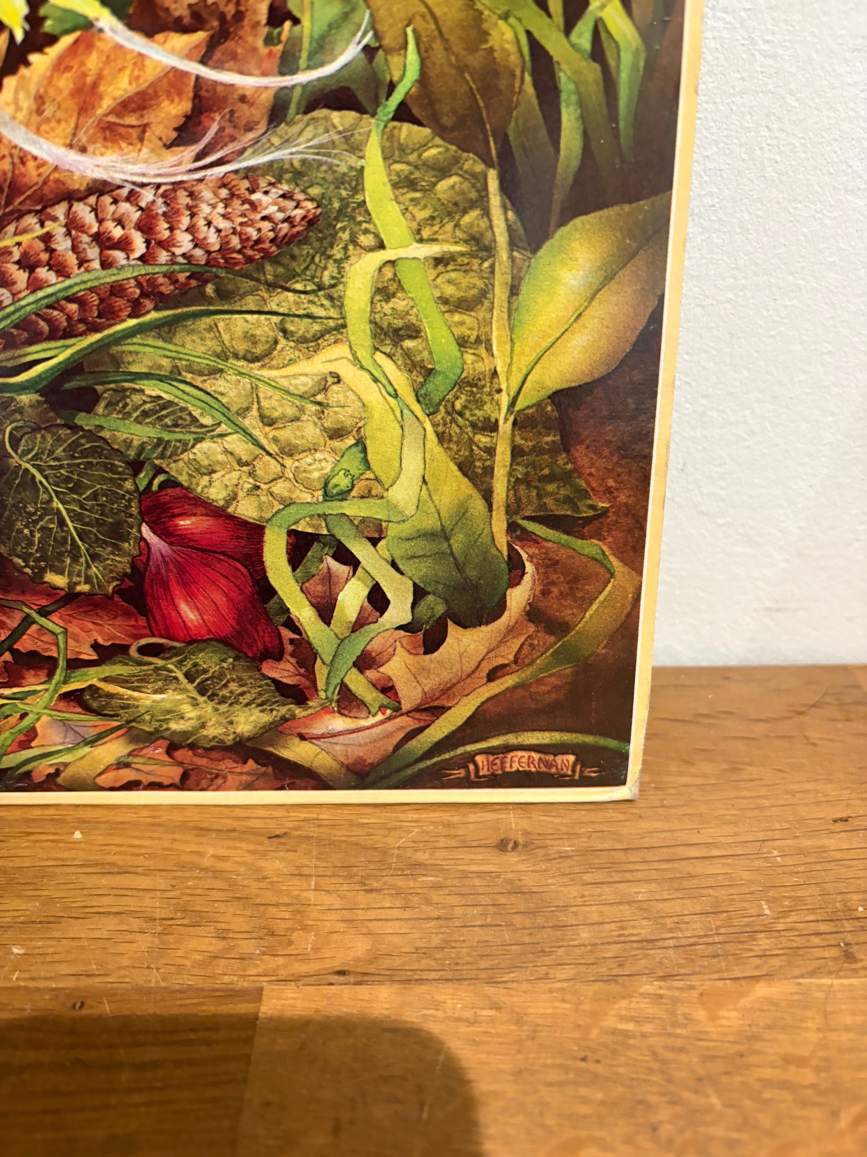 Spyro Gyra - Morning Dance , Lp album , MCA Records 1979, INS2003.