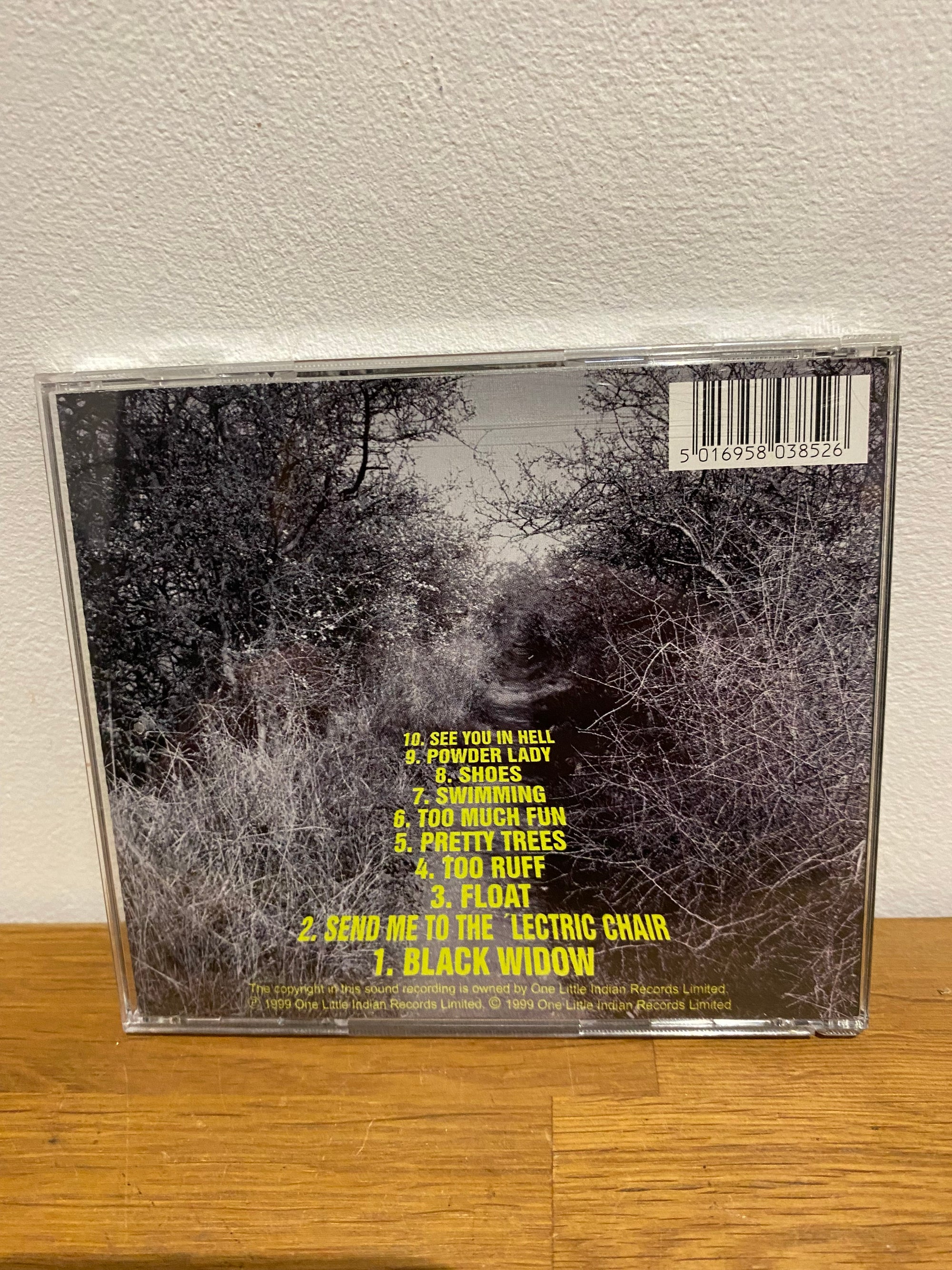 Sandy Dillon - Electric Chair