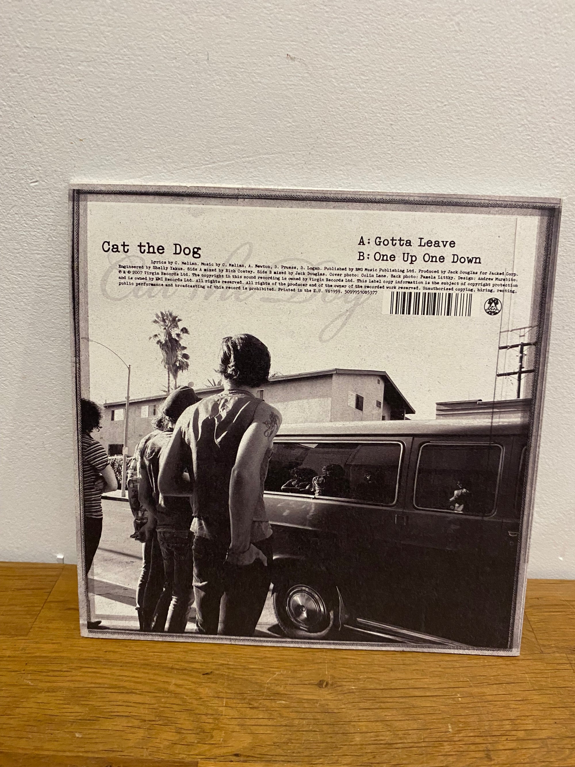 Cat the Dog - Gotta Leave, 7” single, 2007. Virgin records.