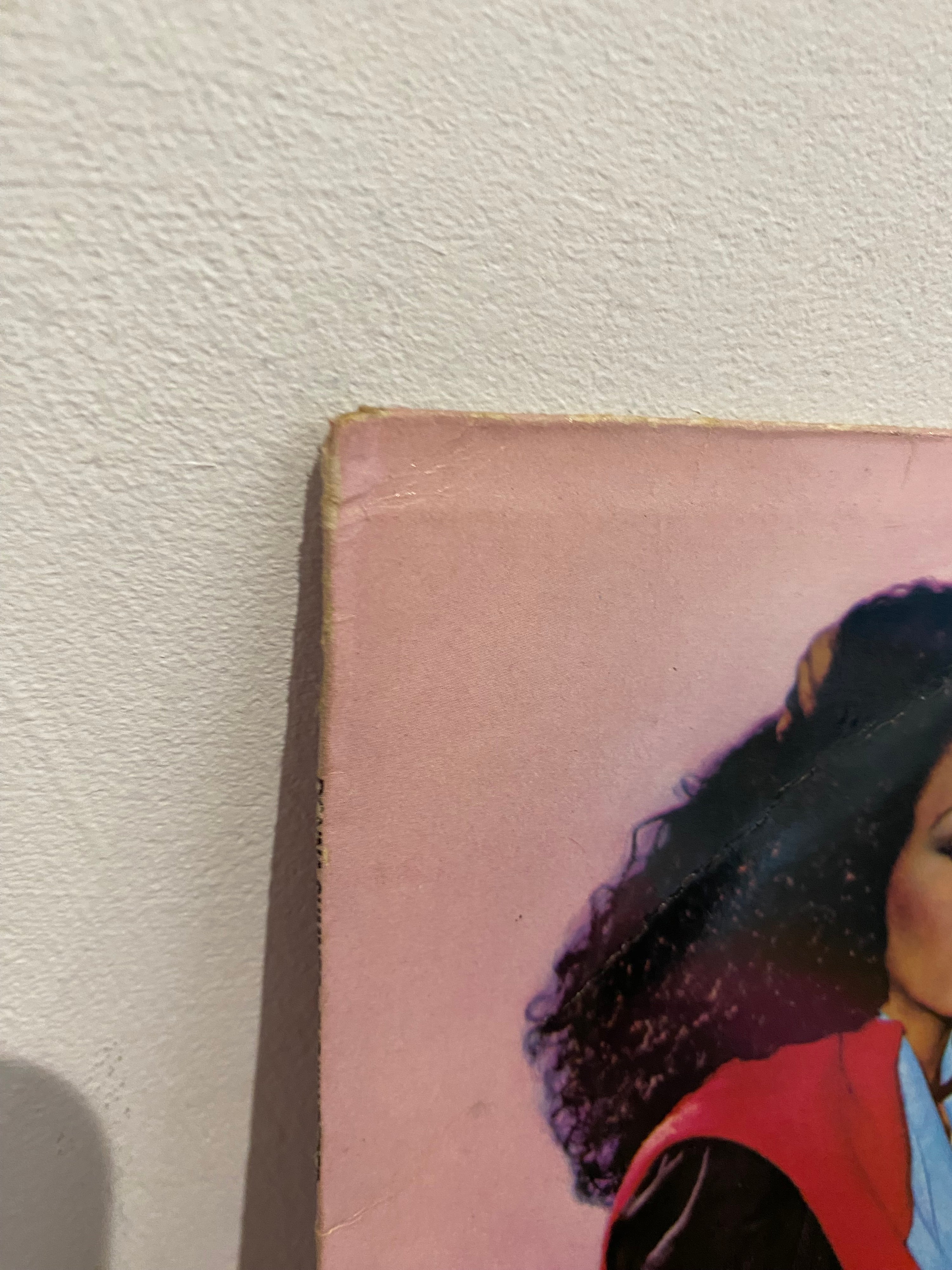 Donna Summer- The Wanderer, LP Vinyl ,Geffen records , 1980