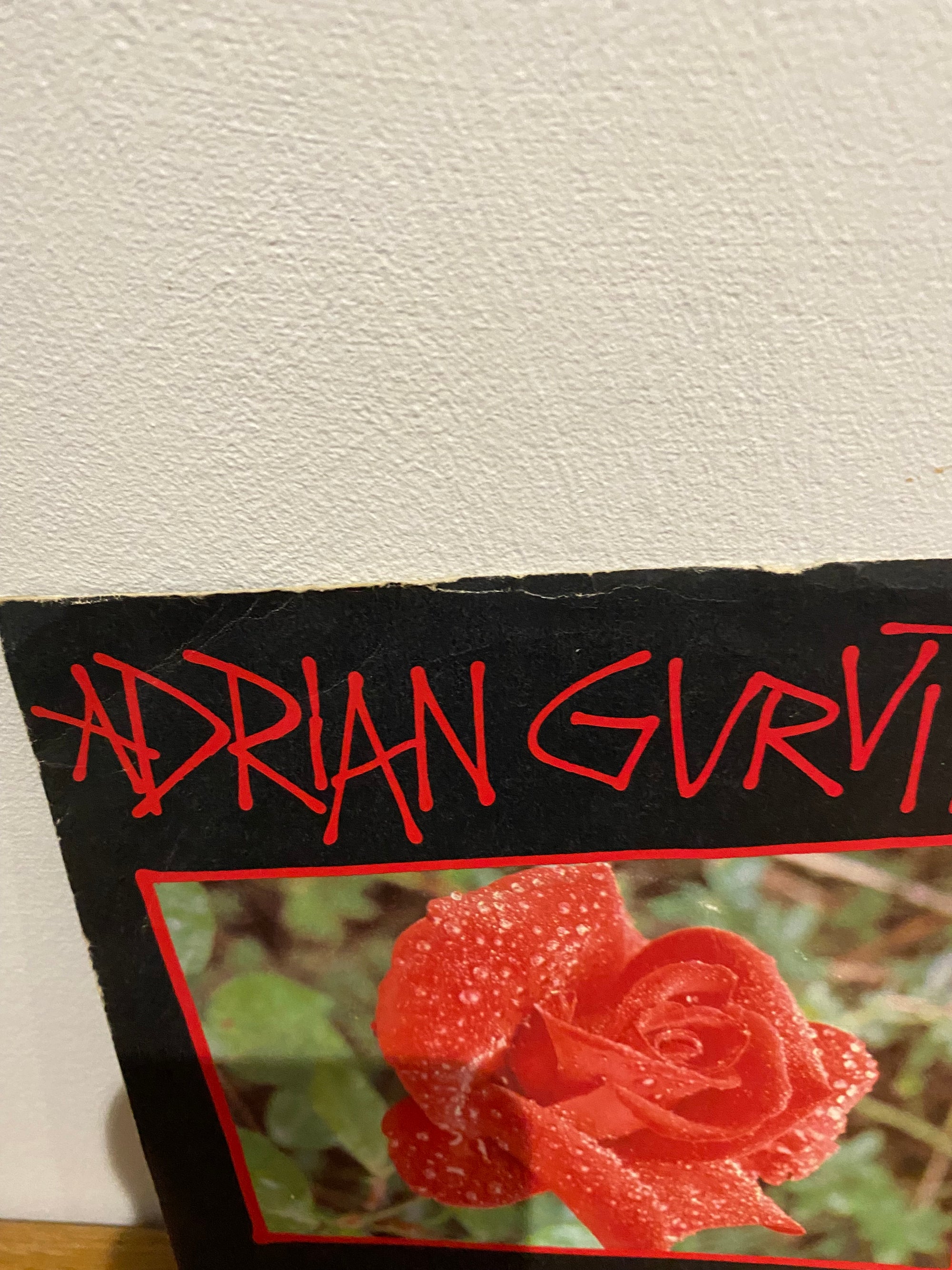 Adrian Gurvitz - Classic , 1982 , 7” single