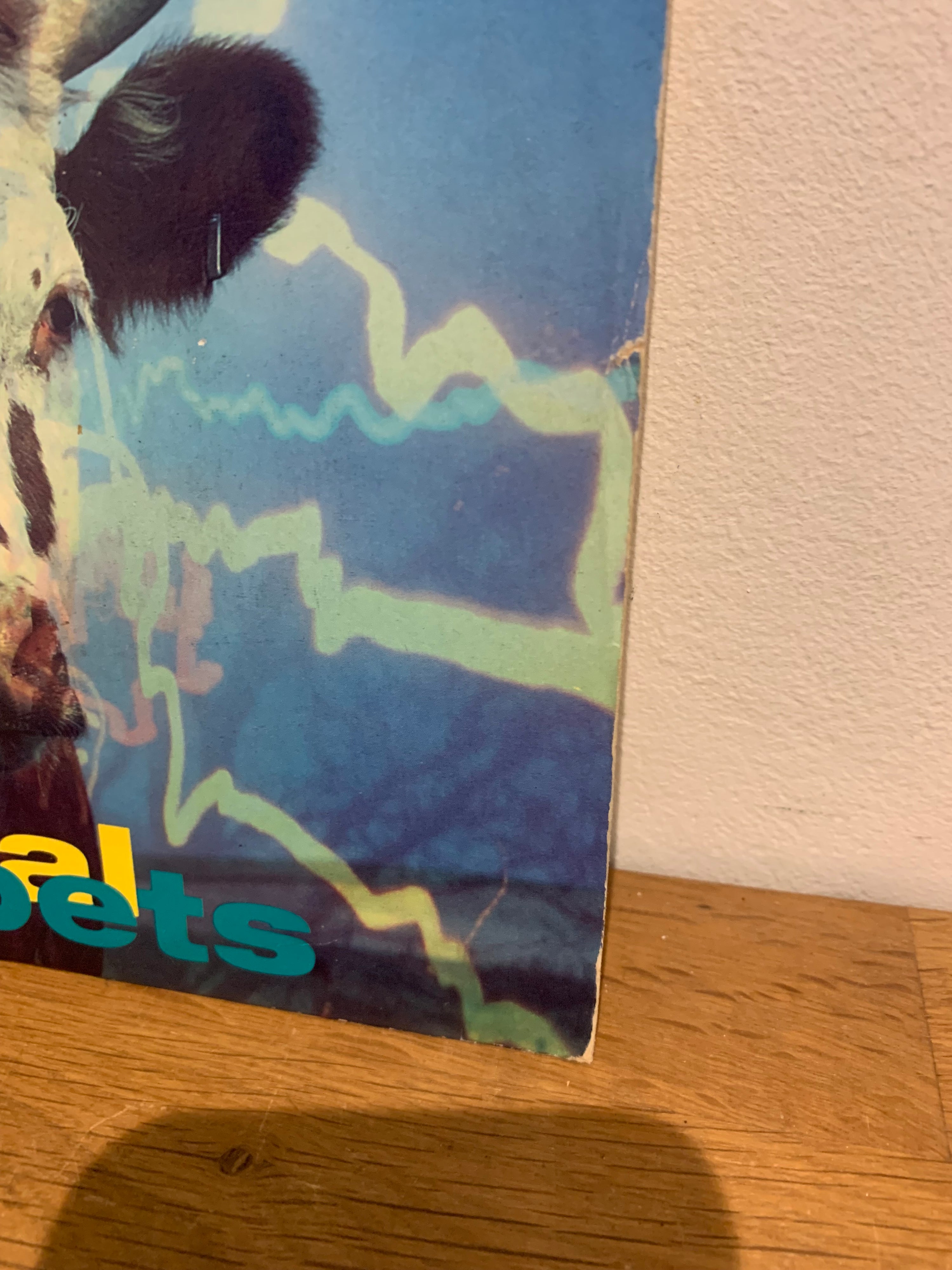 Inspiral Carpets - She comes in the fall , 7 inch single, 1990 mute records.