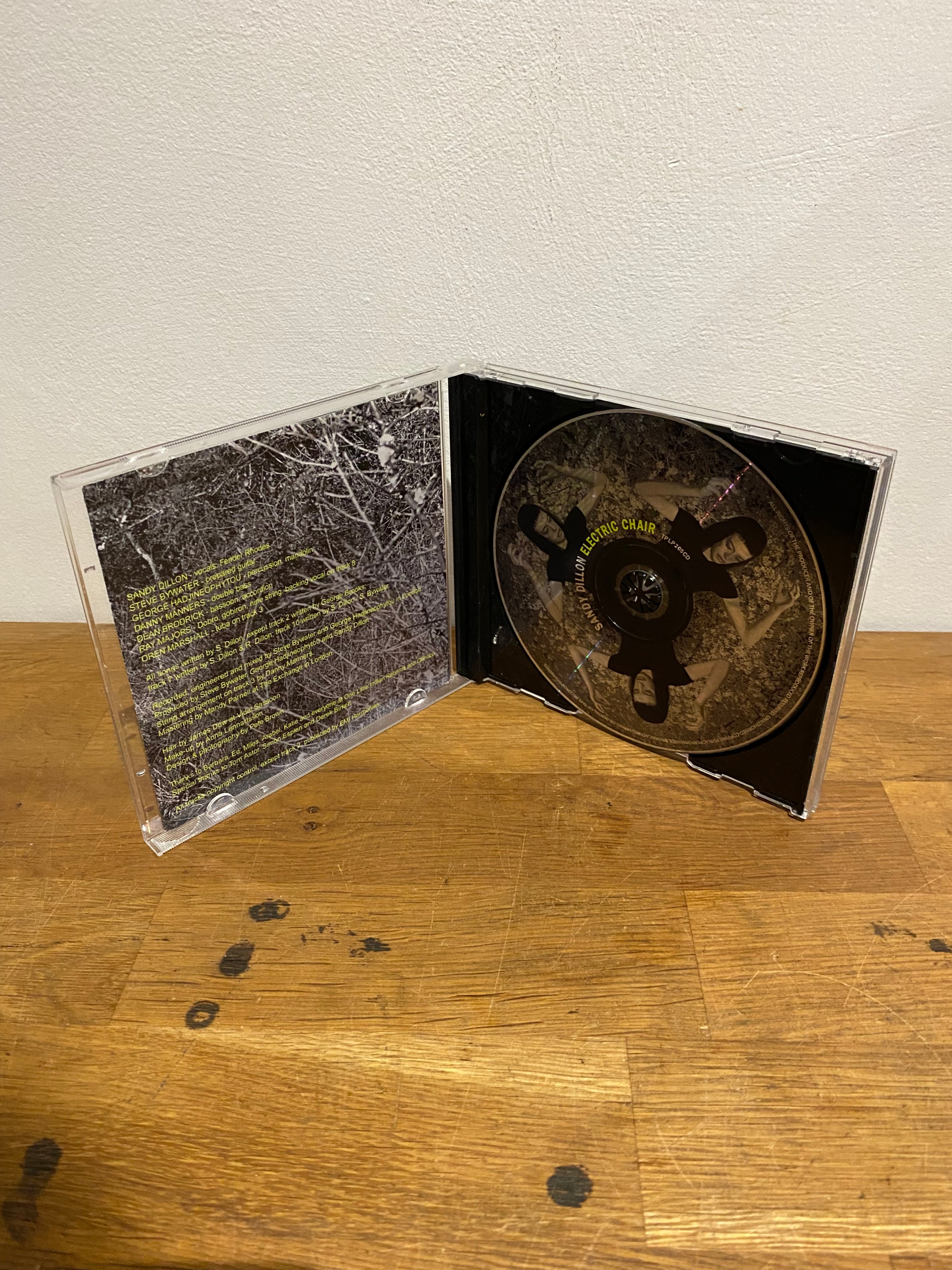 Sandy Dillon - Electric Chair