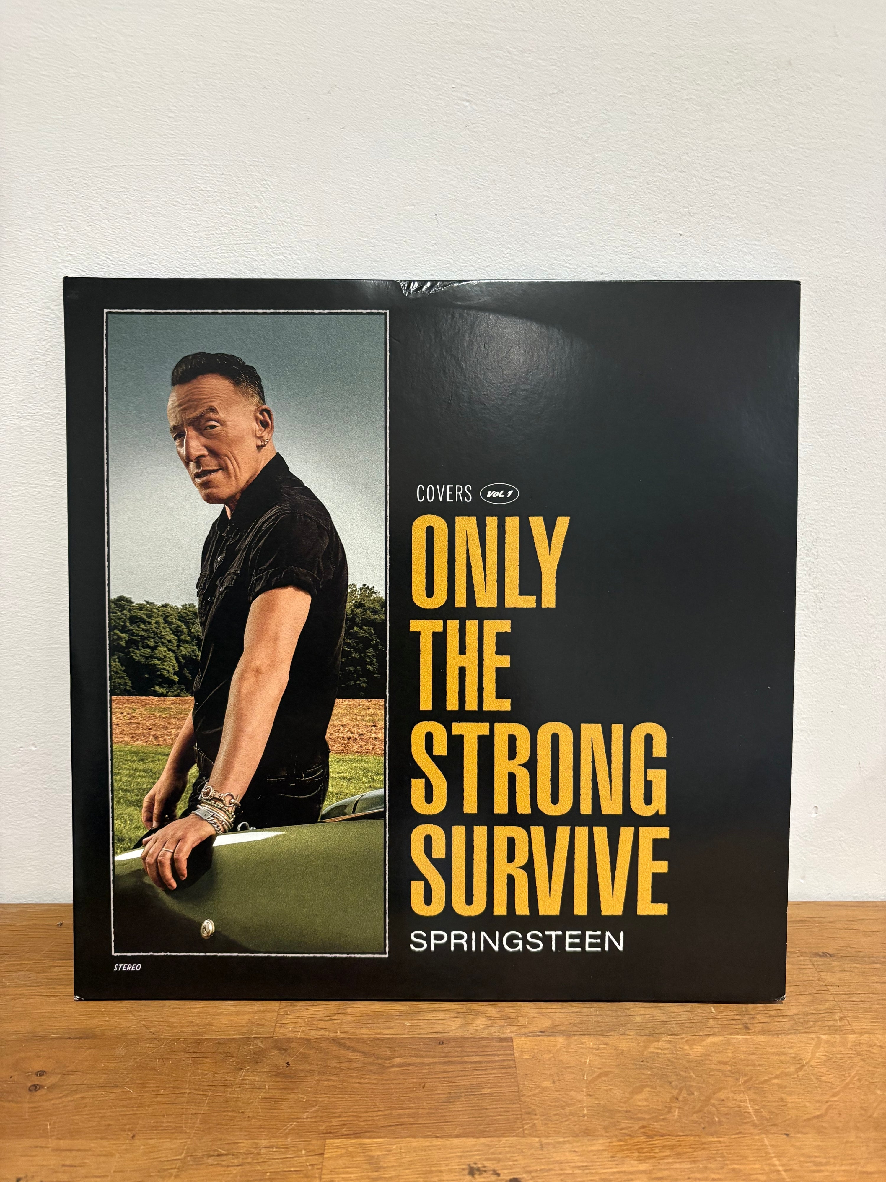 Bruce Springsteen - Covers Vol 1, double album , D side Etched, 2022.