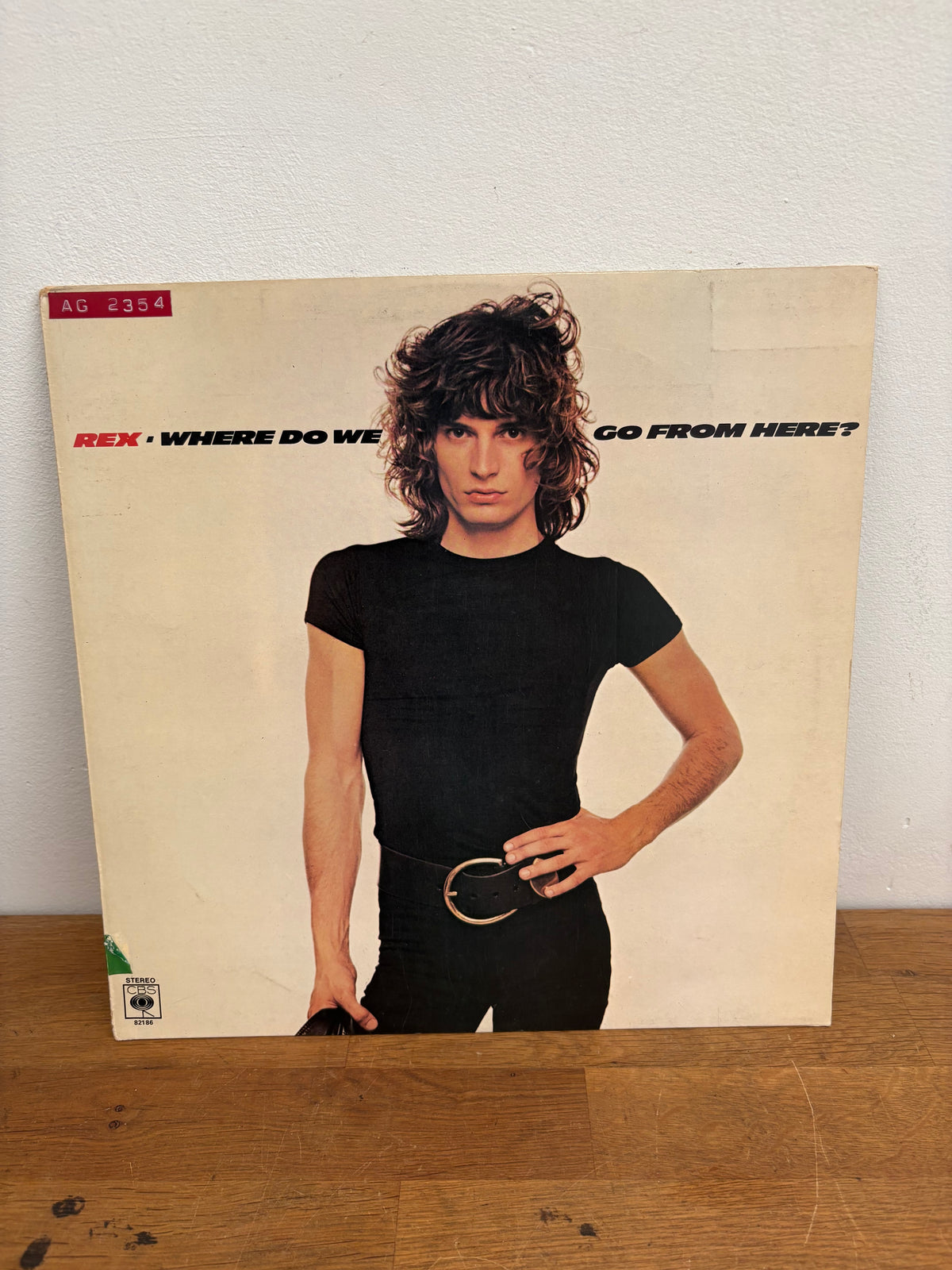 Rex - Where do we go from here? , Vinyl Lp Album , 1977, Property of CBS , Demo only