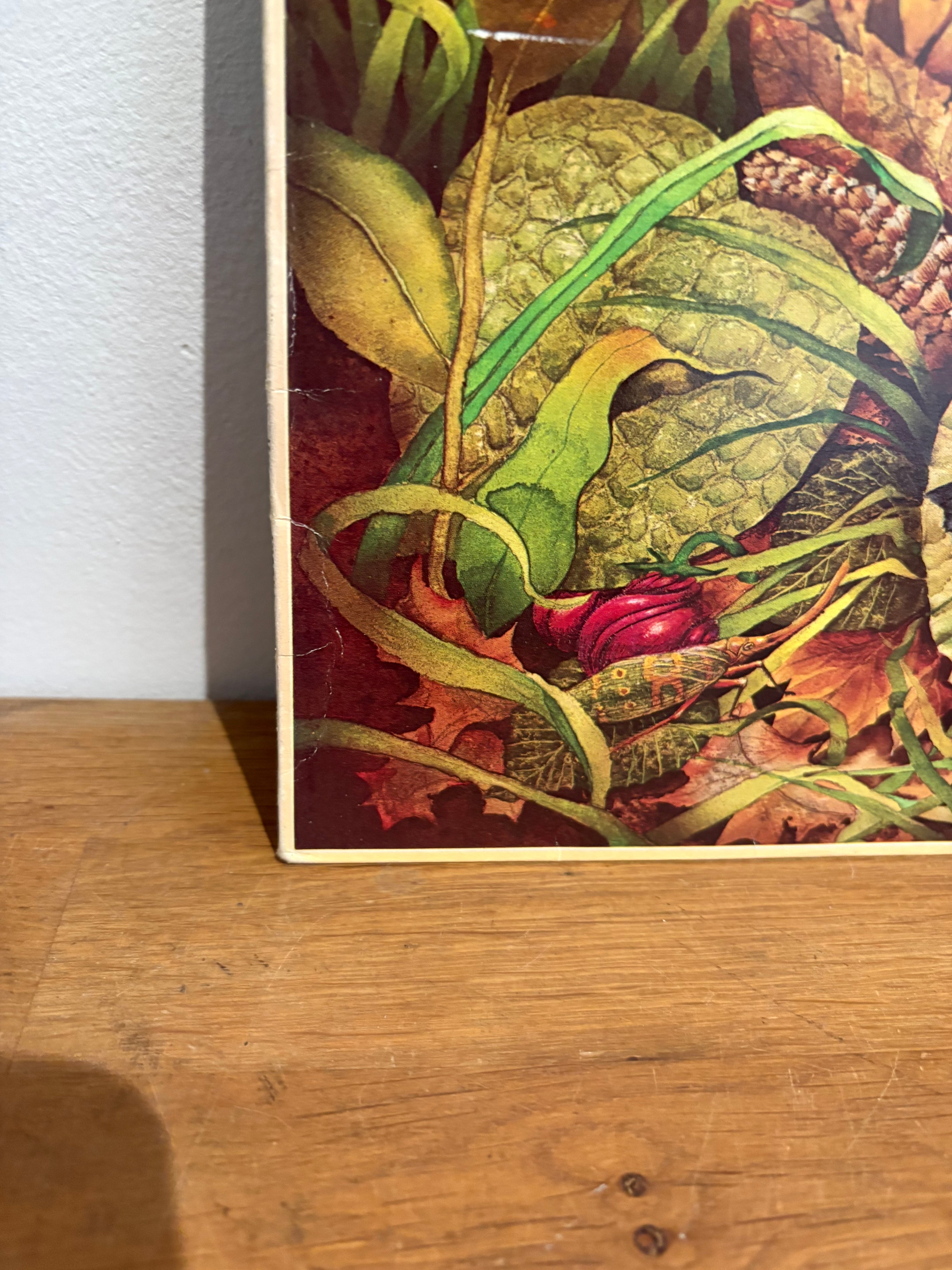 Spyro Gyra - Morning Dance , Lp album , MCA Records 1979, INS2003.